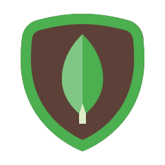 /assets/mongodb-54000b2b.png